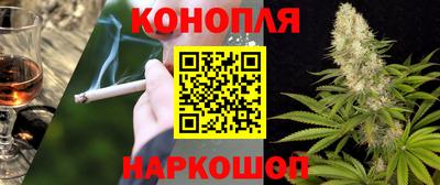 эйфоретик Можга