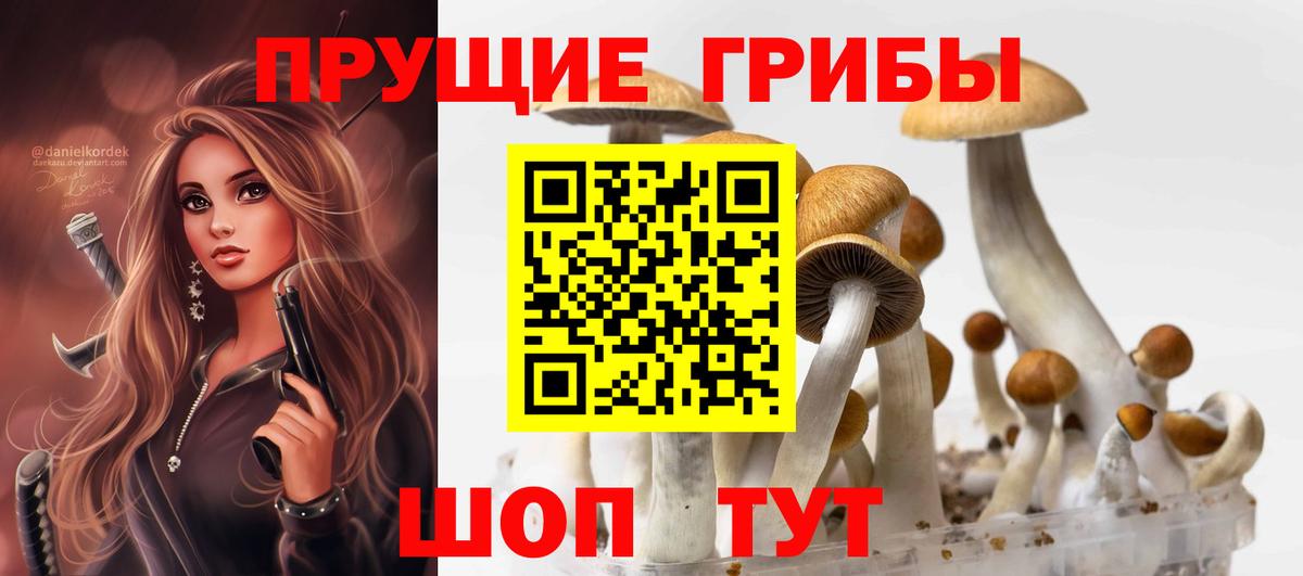 Псилоцибиновые грибы мухоморы  Вход с VPN  Галлюциногенные грибы Psilocybine cubensis  Троицк 