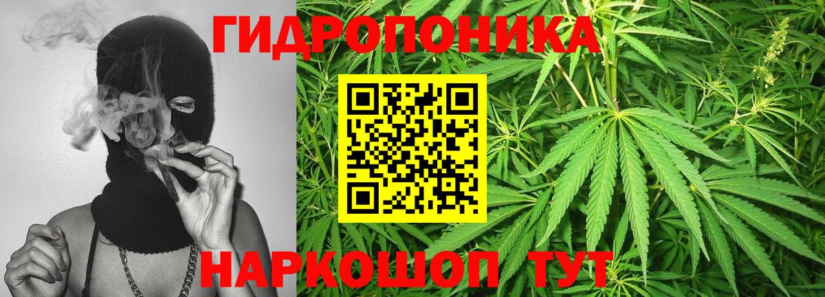 Бошки Шишки ГИДРОПОН  Марихуана семена  Троицк  Вход с VPN  Каннабис тримм 